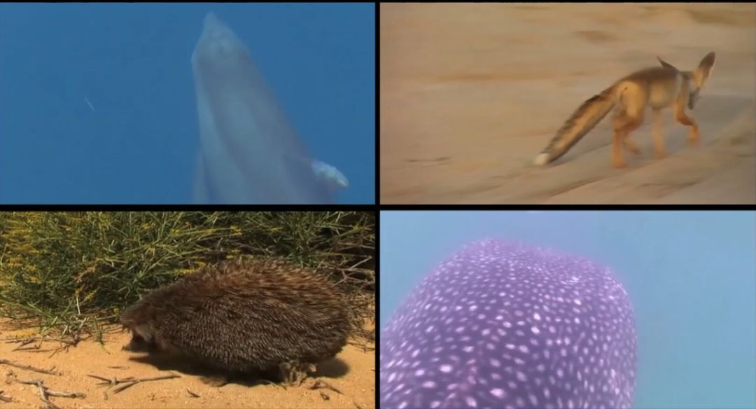 尊龙凯时【首页官网】人生就是博!