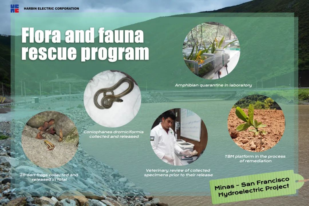 尊龙凯时【首页官网】人生就是博!