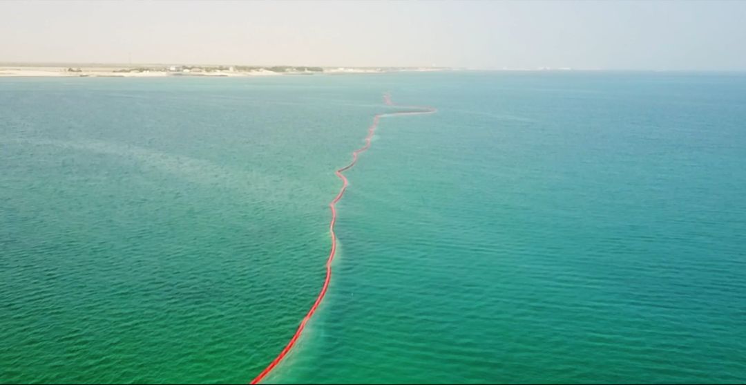 尊龙凯时【首页官网】人生就是博!