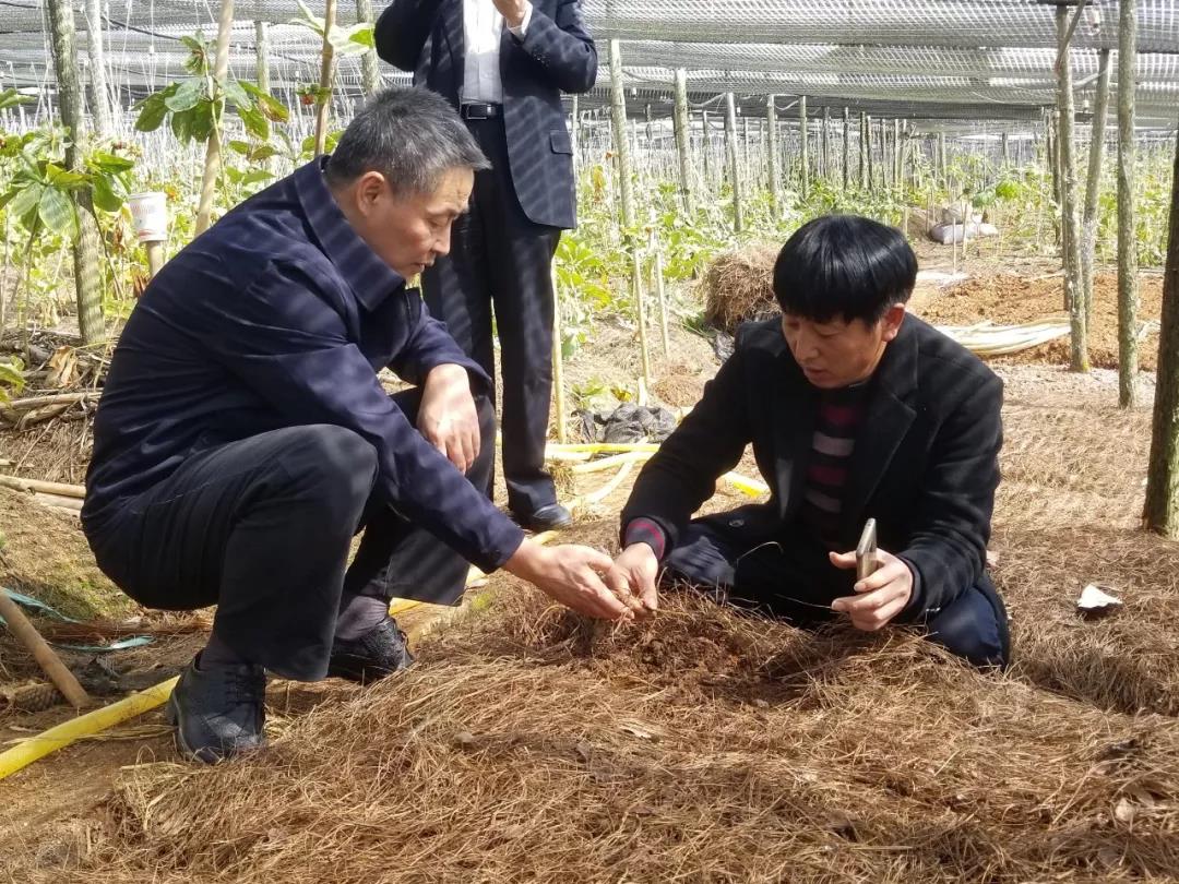 尊龙凯时【首页官网】人生就是博!