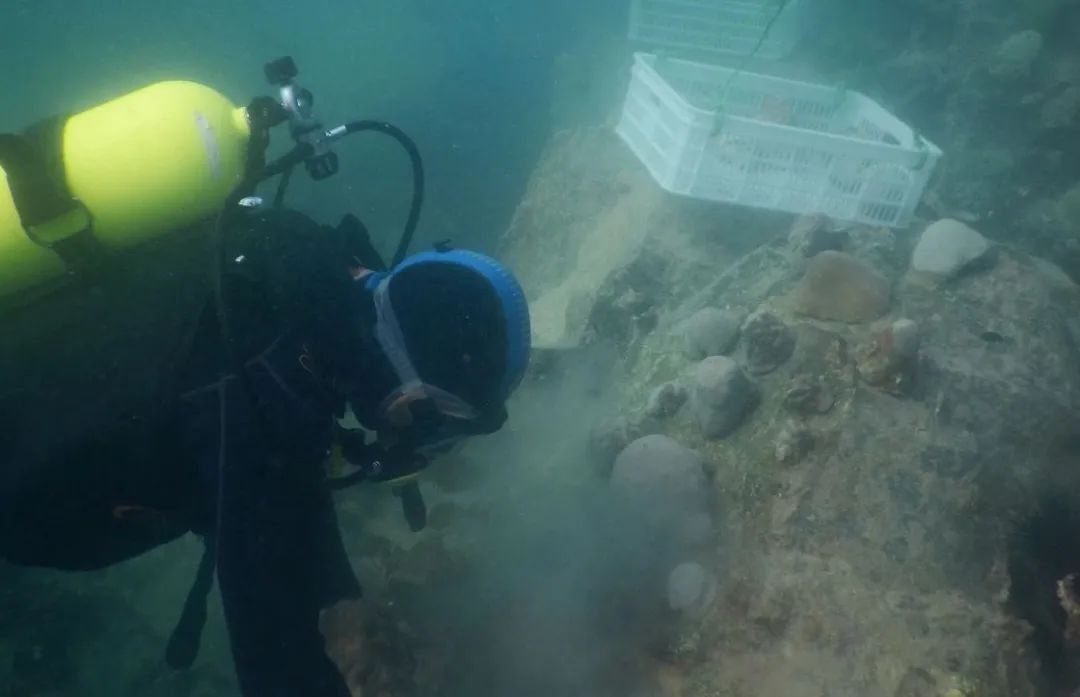 尊龙凯时【首页官网】人生就是博!