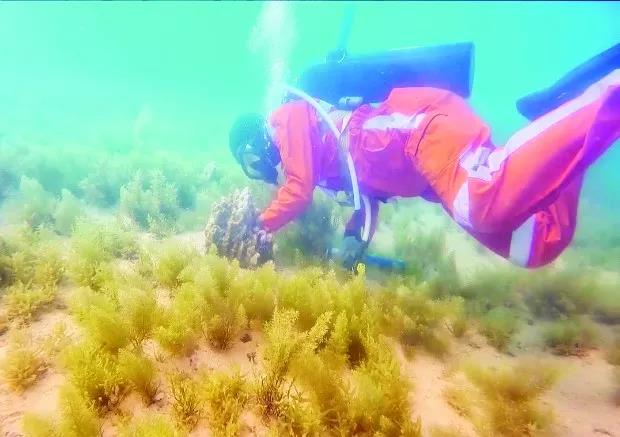 尊龙凯时【首页官网】人生就是博!