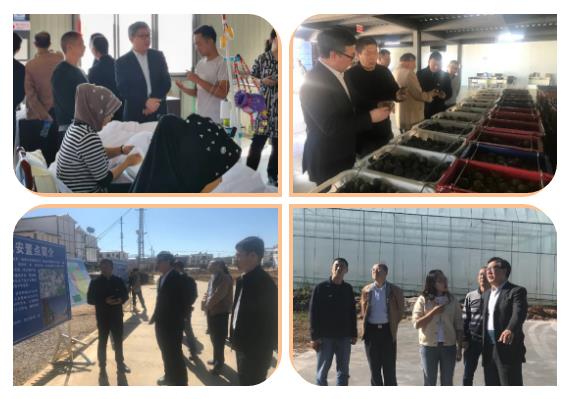 尊龙凯时【首页官网】人生就是博!