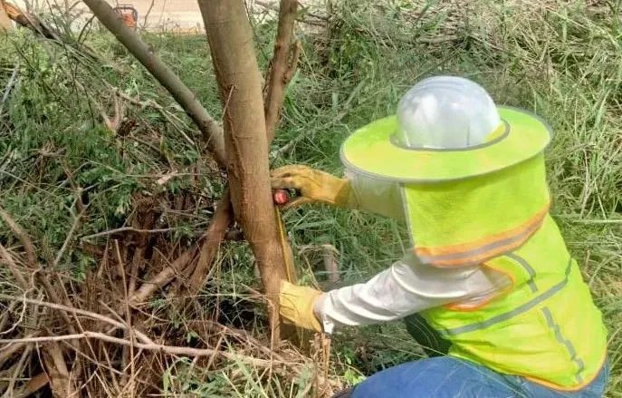 尊龙凯时【首页官网】人生就是博!