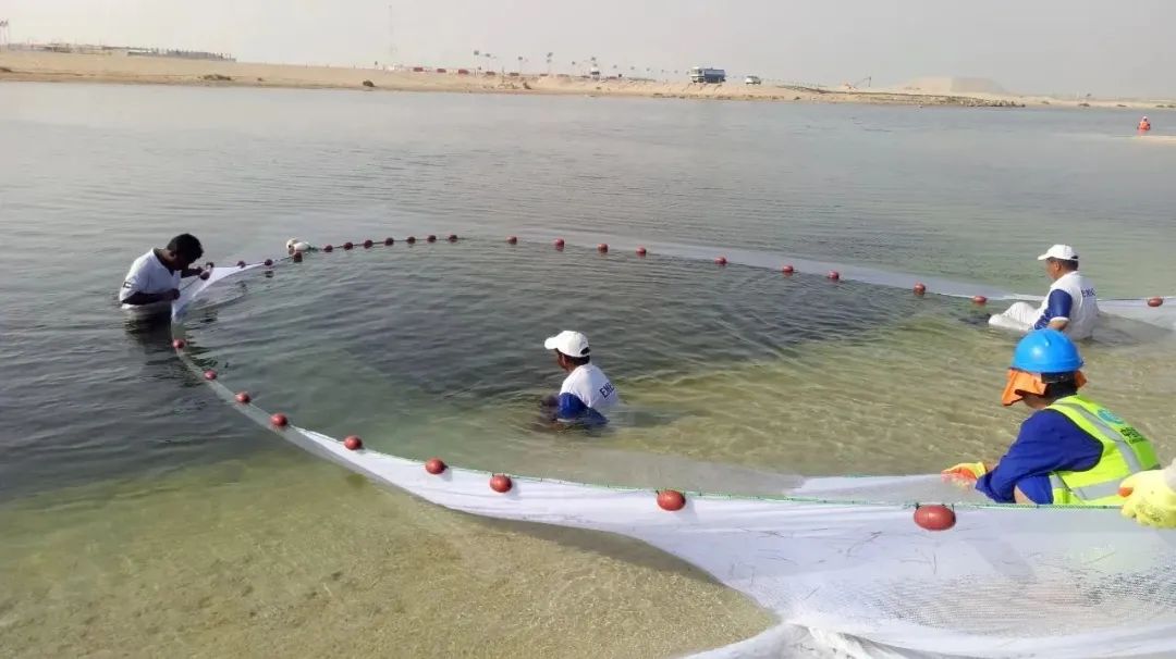 尊龙凯时【首页官网】人生就是博!