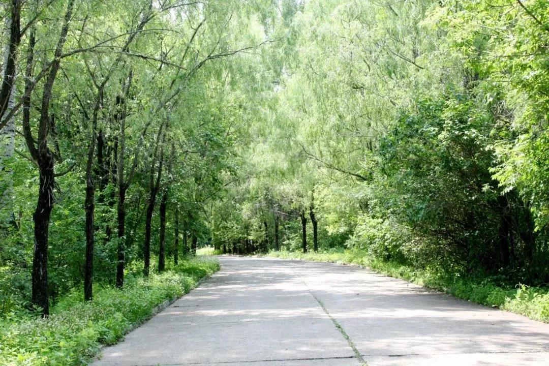 尊龙凯时【首页官网】人生就是博!