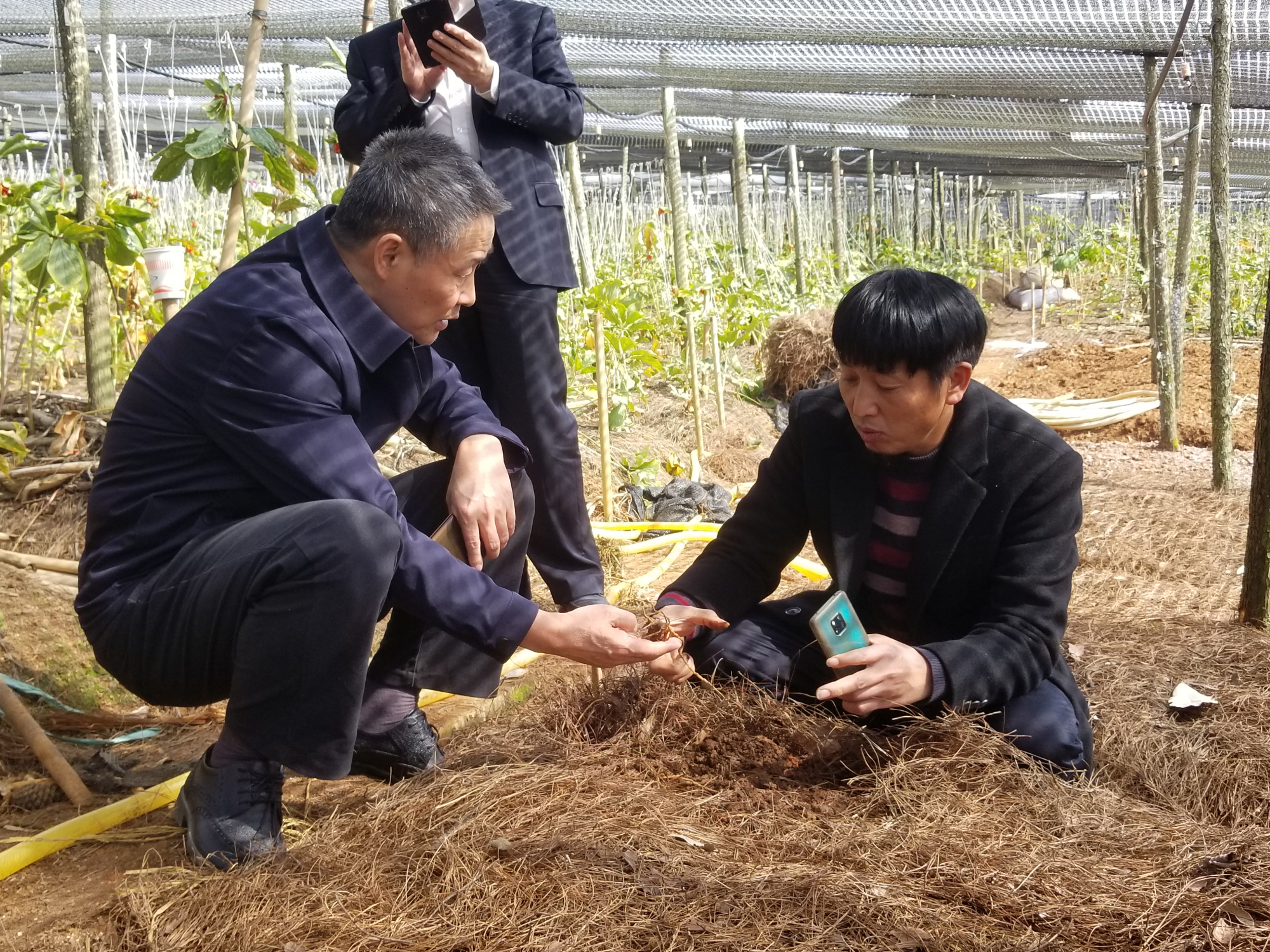 尊龙凯时【首页官网】人生就是博!