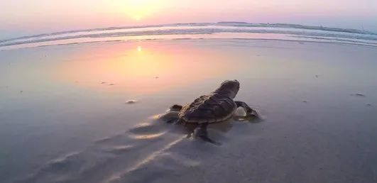 尊龙凯时【首页官网】人生就是博!