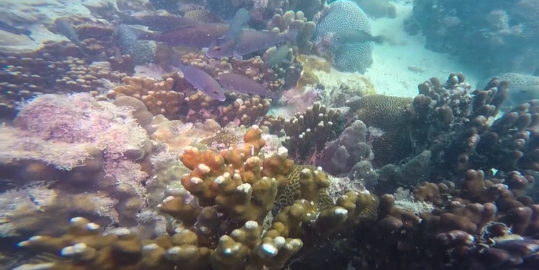 尊龙凯时【首页官网】人生就是博!