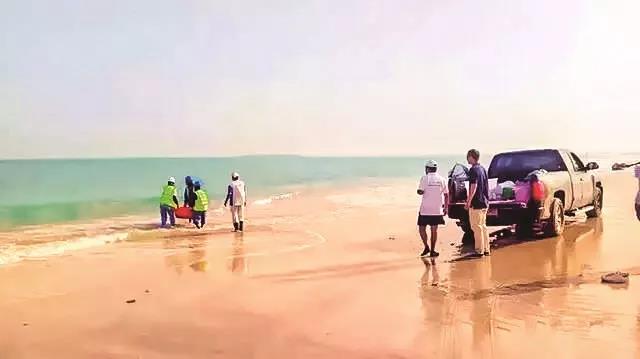 尊龙凯时【首页官网】人生就是博!