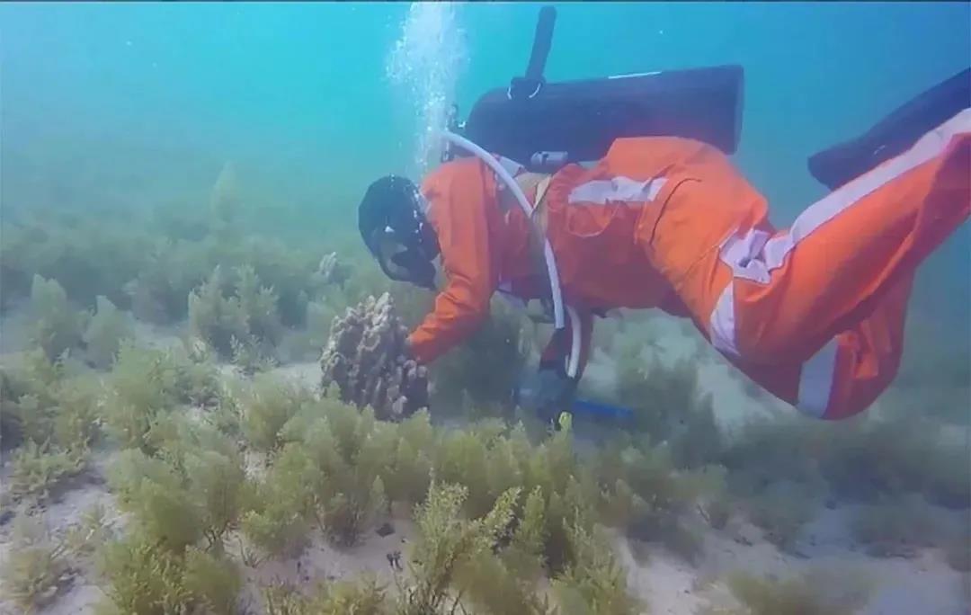 尊龙凯时【首页官网】人生就是博!